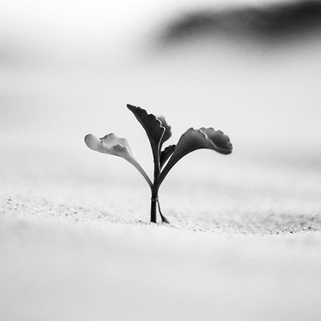 Free Template by Untree.co